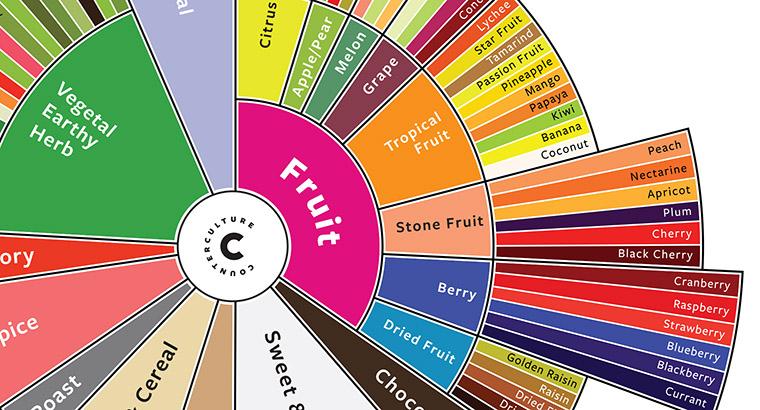 Coffee Basics: What are tasting notes and where do they come from?